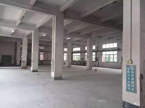 菏澤專業(yè)廠房驗廠檢測鑒定報告與電腦圖文設(shè)計服務(wù)